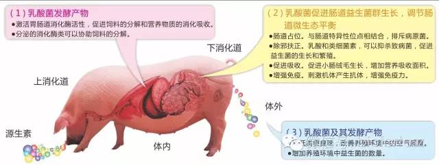 1507788989643977.jpg 微信图片_20171012141645.jpg