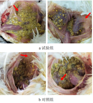 1661820257584116.png image.png