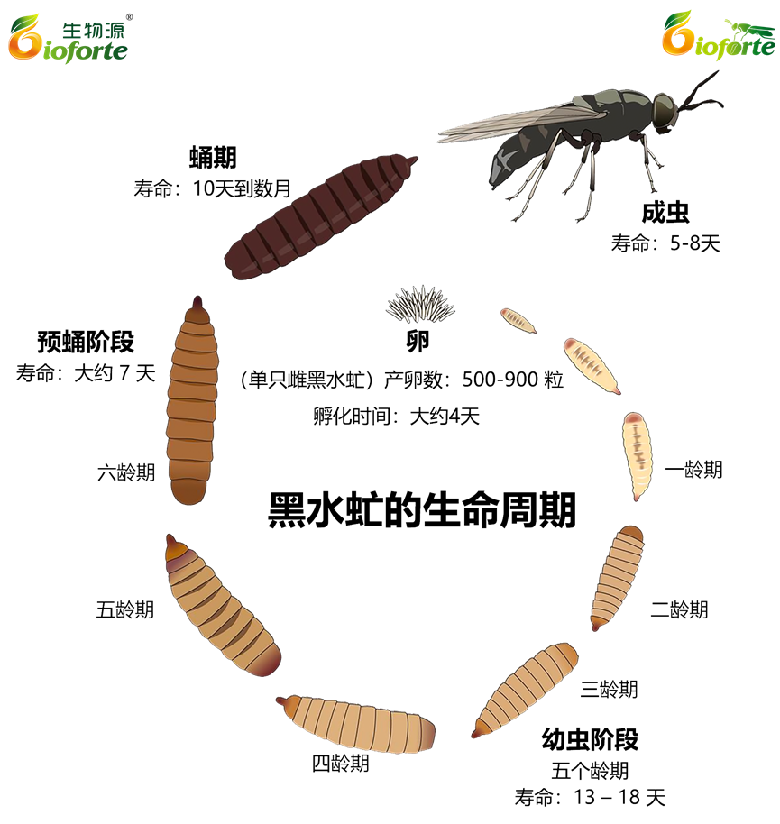 1670209454897812.png image.png