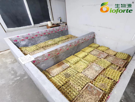 1696554339961936.png image.png