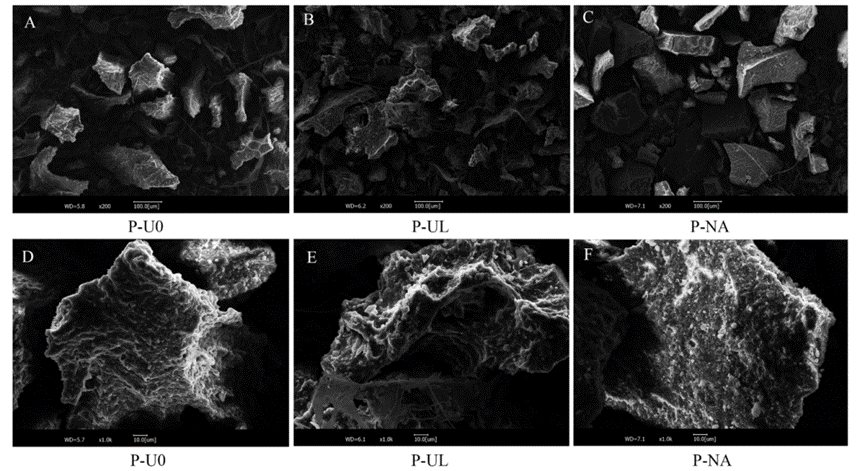 1700557823281846.png image.png