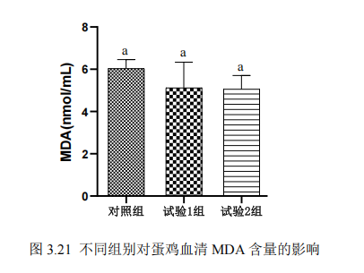 1750036374827767.png 10.png