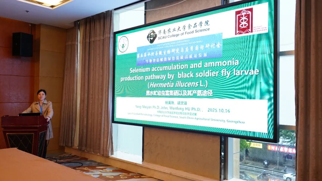 1761529169216288.jpg 4.jpg